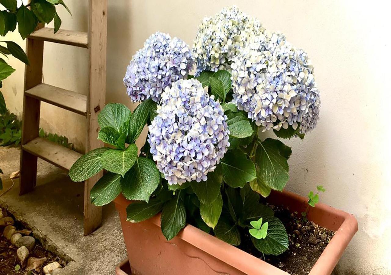 B&B La Casa Di Paola Trapani Dış mekan fotoğraf